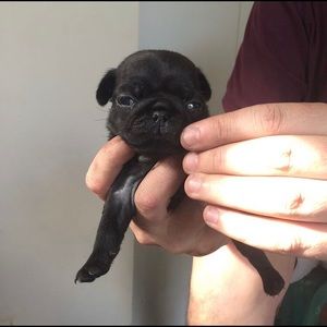 Meet your Posher, Cecilia